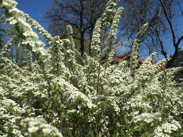 Слънчево и топло до 28 градуса