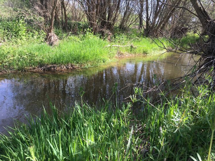 Слънчево и топло в понеделник