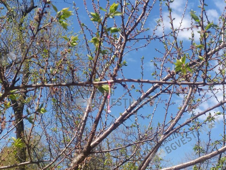 Променлива облачност днес над Кърджали,слаби надежди за дъжд