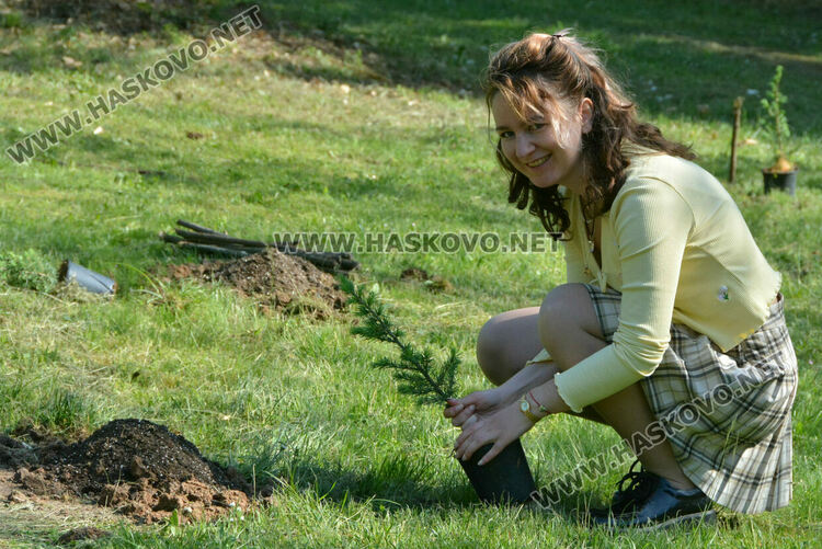 Засадиха 50 дръвчета в „Кенана“ за юбилея на „Южна пролет“