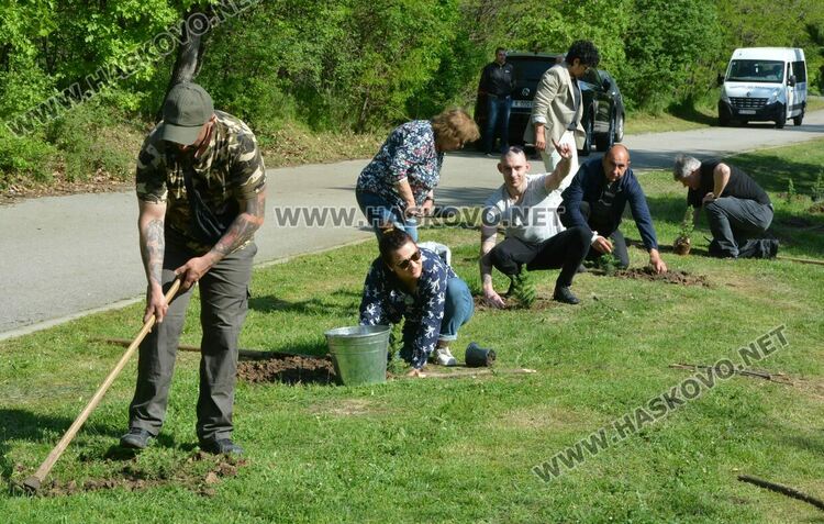 Засадиха 50 дръвчета в „Кенана“ за юбилея на „Южна пролет“