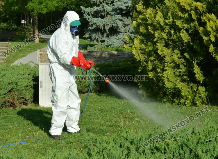 Пръскаха срещу кърлежи на „Ямача“