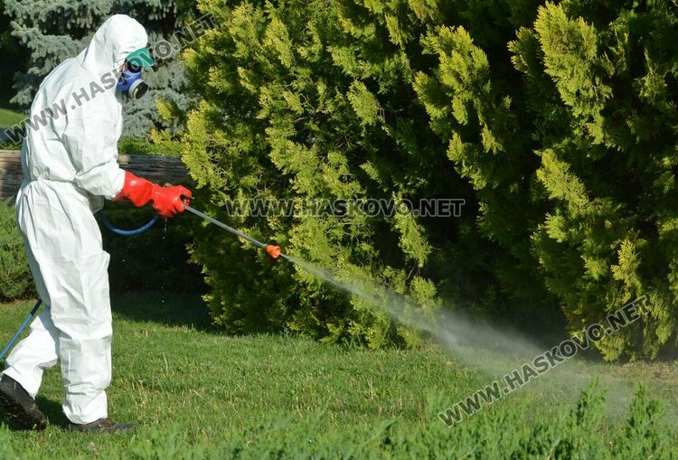 Пръскаха срещу кърлежи на „Ямача“