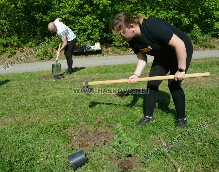 Засадиха 50 дръвчета в „Кенана“ за юбилея на „Южна пролет“