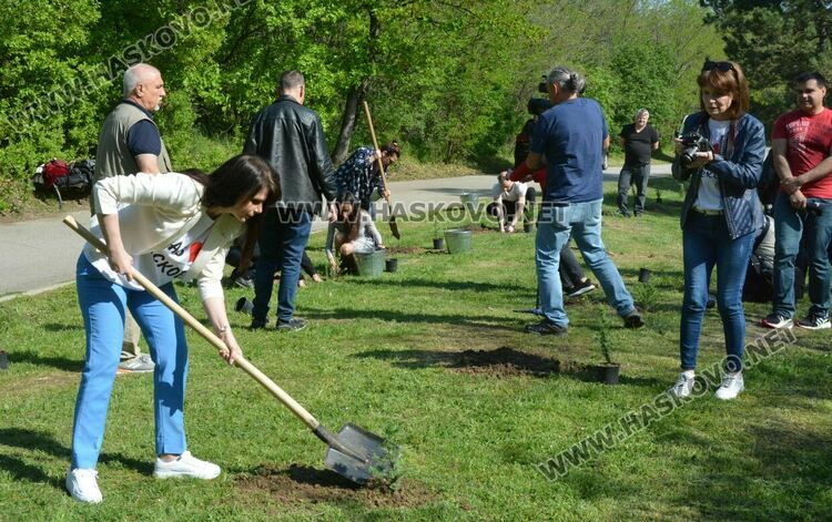 Засадиха 50 дръвчета в „Кенана“ за юбилея на „Южна пролет“