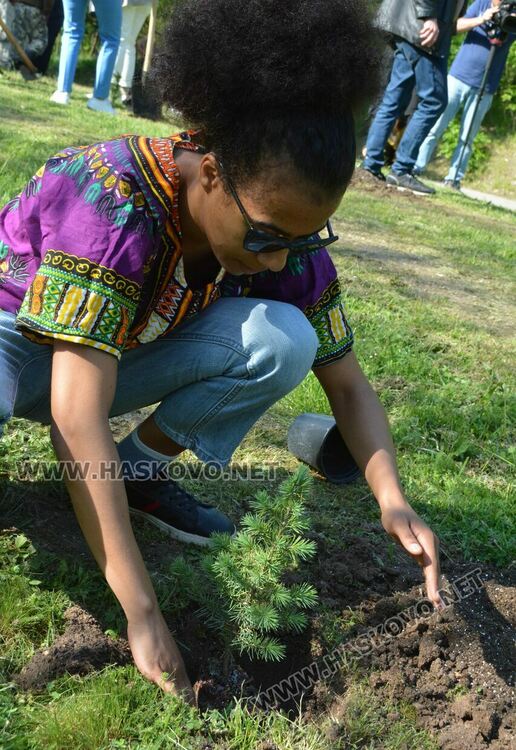 Засадиха 50 дръвчета в „Кенана“ за юбилея на „Южна пролет“