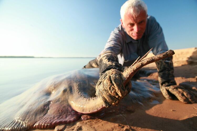 Сезон на Големите котки по Viasat Nature, риболовна зона по Viasat Explore - през май