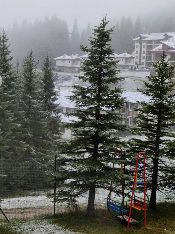 Майски сняг вали по високите части на Смолянска област