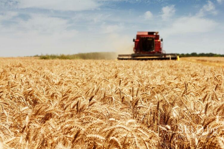 Полицията и пожарната с мерки за опазване на реколтата и гарантиране на реда при прибирането й