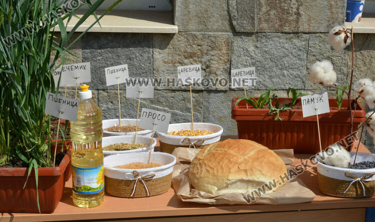 „Магазин на професиите“ в “Шандор Петьофи“, демонстрираха задържане на престъпник