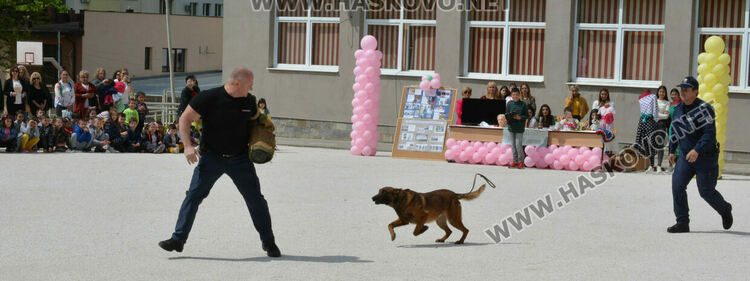 „Магазин на професиите“ в “Шандор Петьофи“, демонстрираха задържане на престъпник