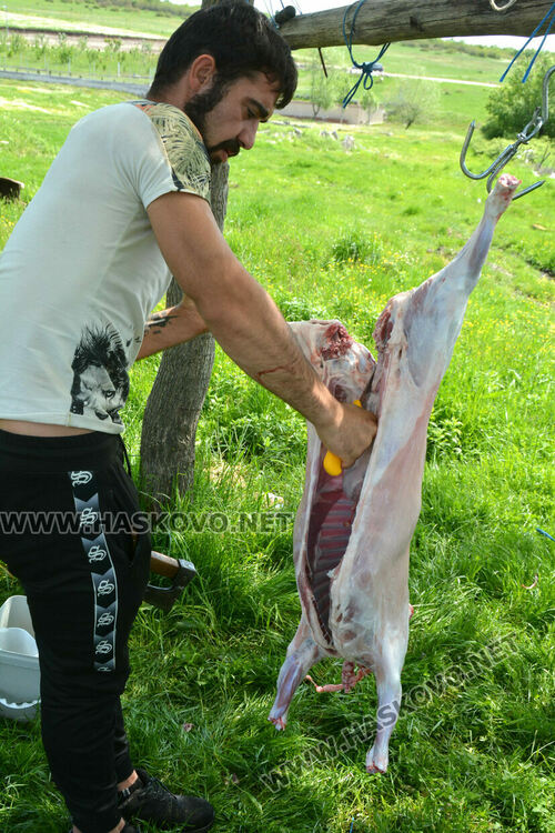 Стадата намаляват, агнешкото поскъпва