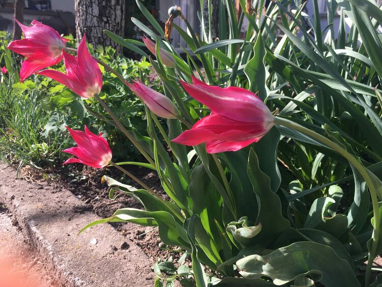 Слънчево и топло до 30 градуса