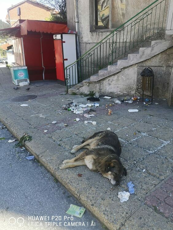 Камбарев и Мелемов в челен сблъсък за чистотата на Смолян