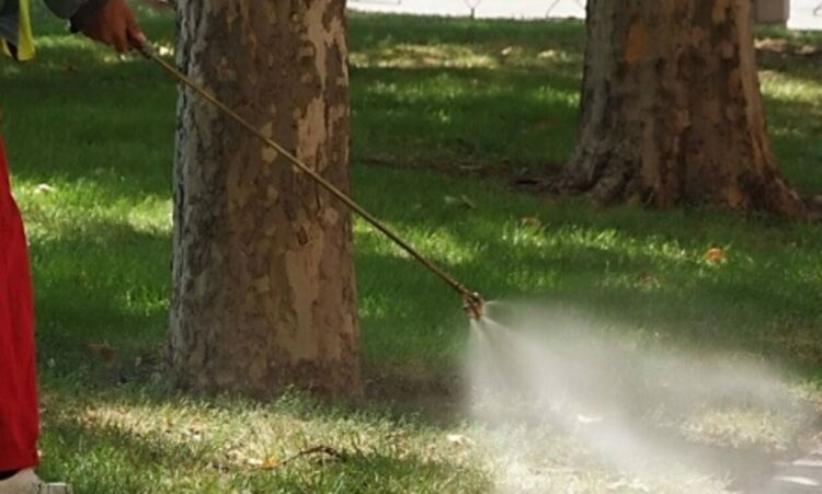 В Смолян започва пръскането срещу кърлежи 