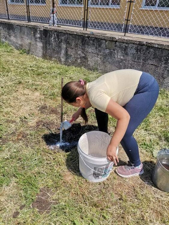 Учениците от Виница се грижат за озеленяването на училищния двор