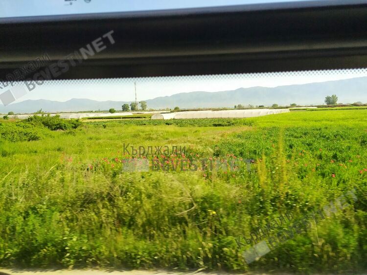 Продадохме оранжериите си за скрап на македонците, сега те ни предлагат домати на десеторно по-висока цена