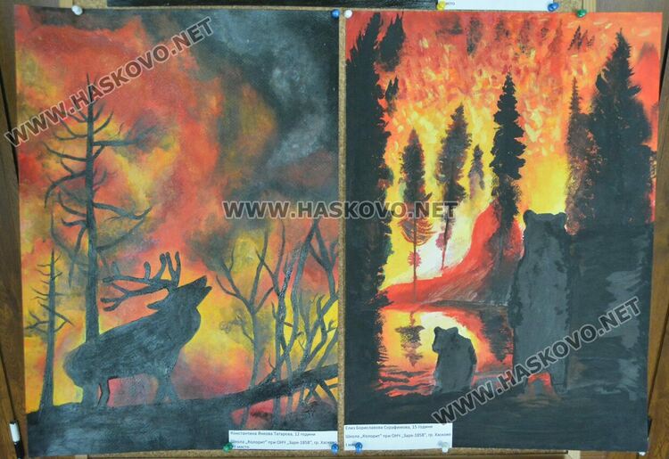 Класираха 48 рисунки от Хасковско за международния конкурс „С очите си видях бедата“