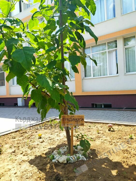 СУ"Отец Паисий" с кампания "Засади цвете-сътвори красота!"