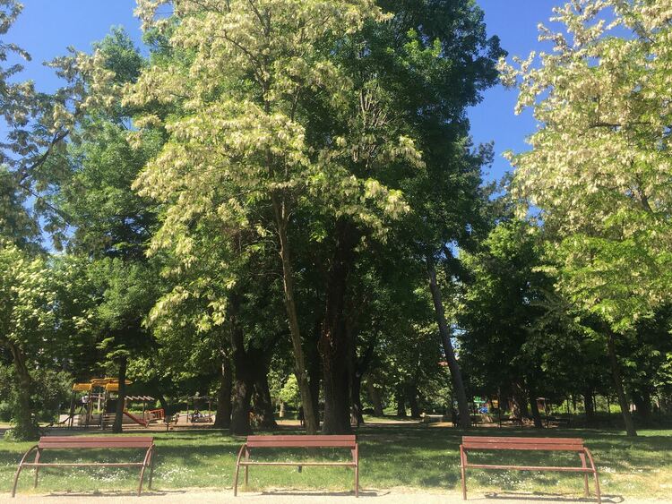 Жега и днес, но идва разхлаждане с валежи