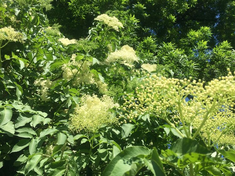 Слънчев четвъртък