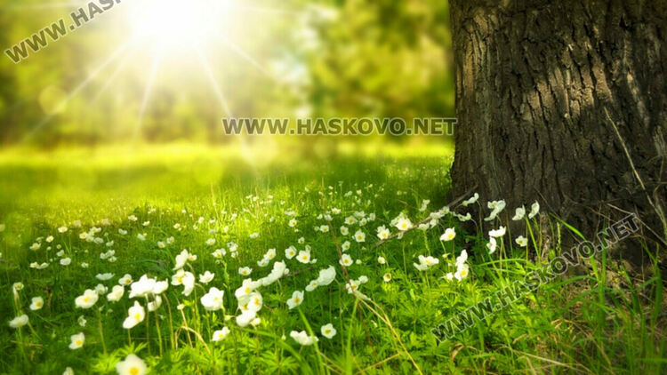 Слънчево и приятно време днес