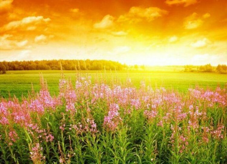 Спокойно и слънчево време в петък