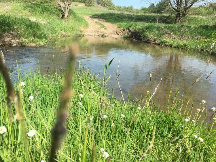 Слънчево и тихо в петък