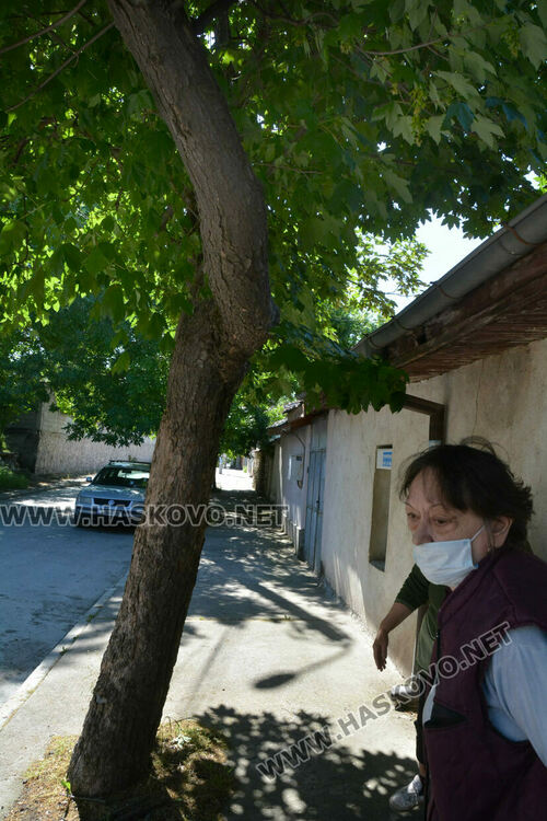 Хасковлийки се жалват от трева на тротоара, „Екопрогрес“ коси по график