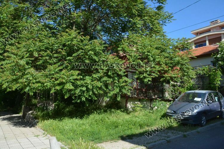 Хасковлийки се жалват от трева на тротоара, „Екопрогрес“ коси по график