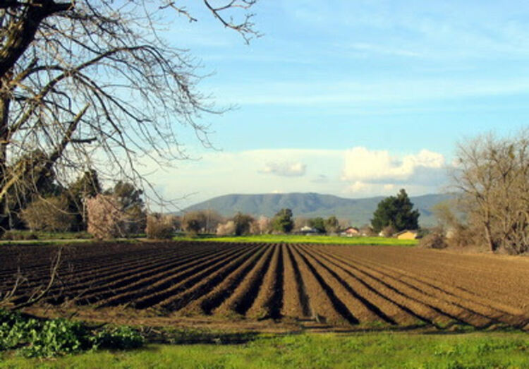 40-годишен земеделец  декларира 1,4 млн. лв. доходи в НАП-Хасково