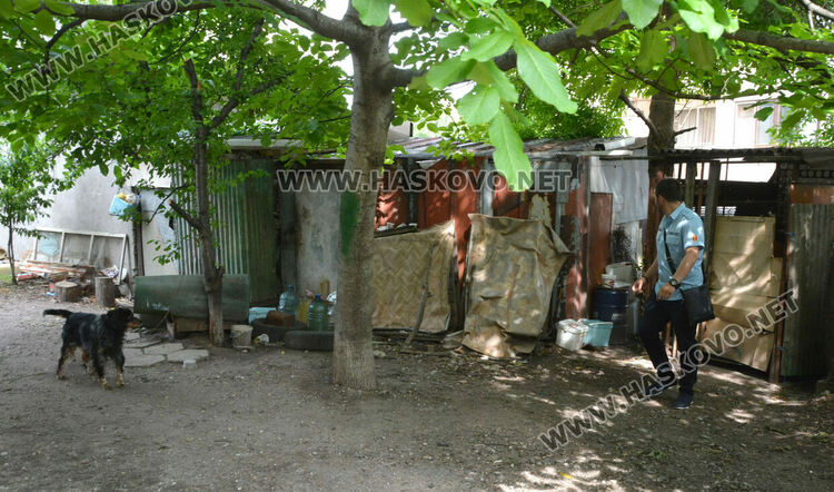 Два акта за хасковлия, отглеждал кучета и гълъби в и около блок