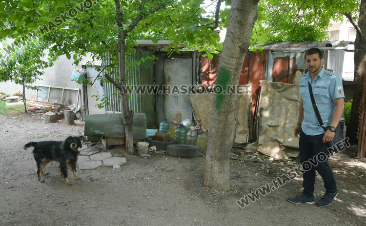 Два акта за хасковлия, отглеждал кучета и гълъби в и около блок