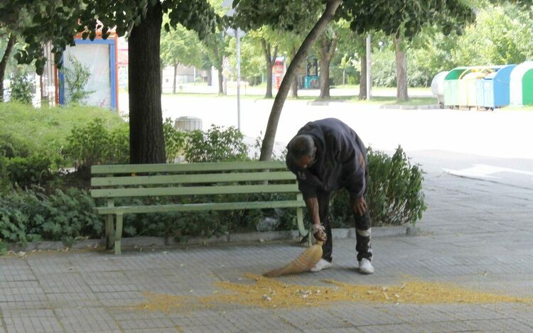 До 500 лв. глоба за бране на липа в Димитровград