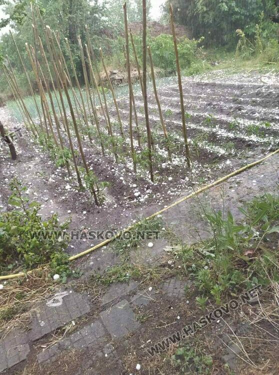 Градушката и дъждът в Хасковско унищожиха реколта, счупени са керемиди и стъкла