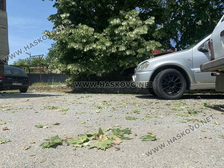 Градушката и дъждът в Хасковско унищожиха реколта, счупени са керемиди и стъкла