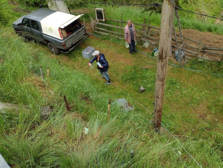 В Чепеларе протестираха в защита на мечката, WWW Bulgaria поставиха електропастир 
