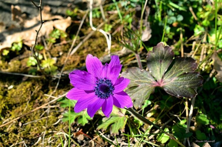 Слънчево време днес