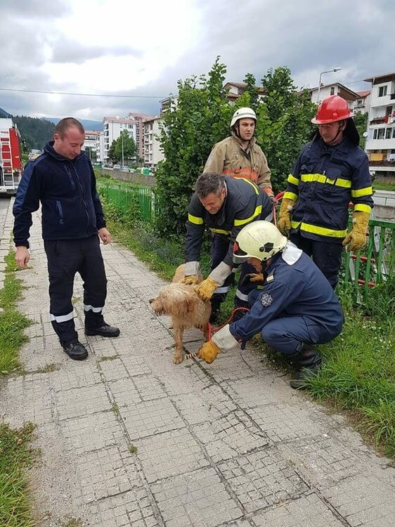 снимката е илюстративна