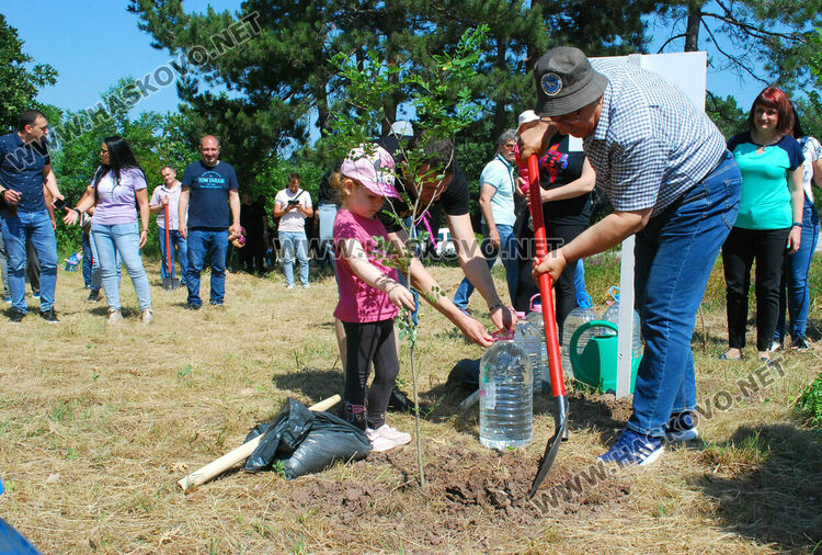 Служители на ЕСО засадиха 60 акации за Деня на енергетика