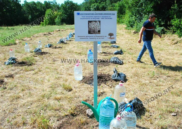 Служители на ЕСО засадиха 60 акации за Деня на енергетика