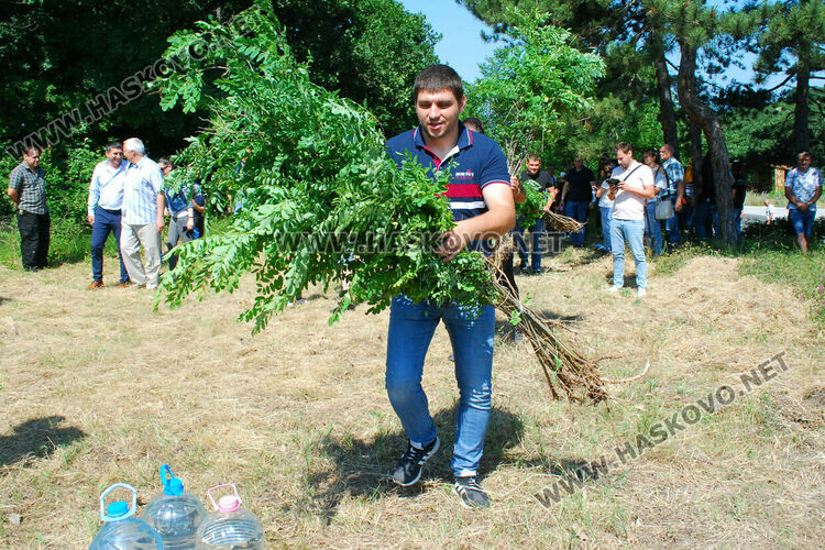 Служители на ЕСО засадиха 60 акации за Деня на енергетика