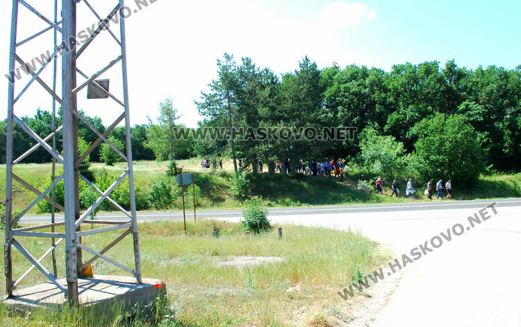 Служители на ЕСО засадиха 60 акации за Деня на енергетика