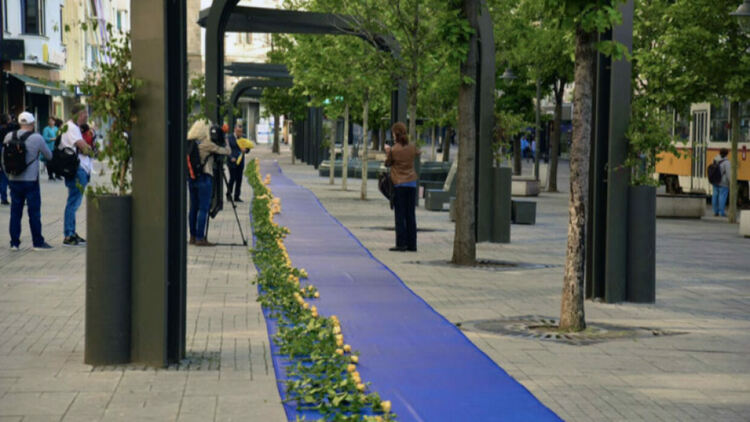 С цветя софиянци правят 100 м флаг на Украйна след 100 дни война