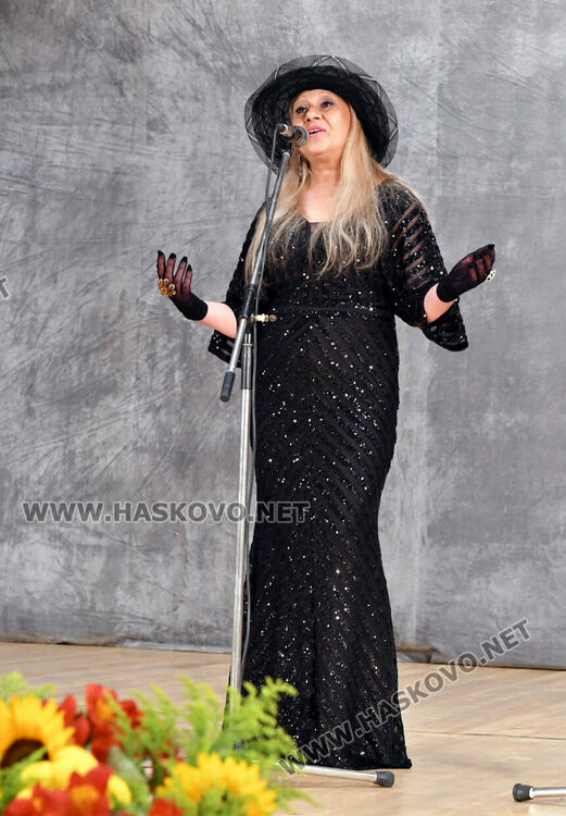 Започва  конкурсът за старата градска песен „С песните на Ари”