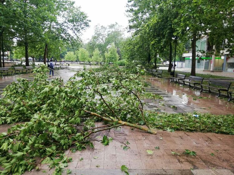 Пороен дъжд и градушка блокираха тази сутрин Русе, предаде кореспондентът на БГНЕС от дунавския град. Градушката е продължила около 15 минути, но последиците от нея се чувстват в целия град. Има нанесени материални щети – счупени прозорци, паднали дървета върху коли. БГНЕС/ОБЛАСТНА УПРАВА РУСЕ