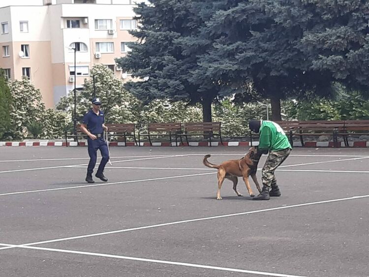 „Полицейски екшън“ се разигра пред учениците на „Славейков“