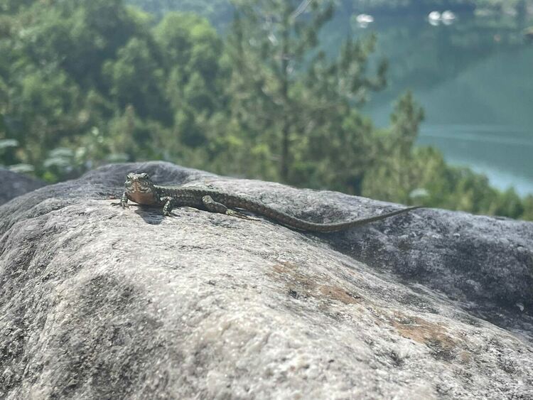 Облачно, преминава средиземноморски циклон с валежи и гръмотевици