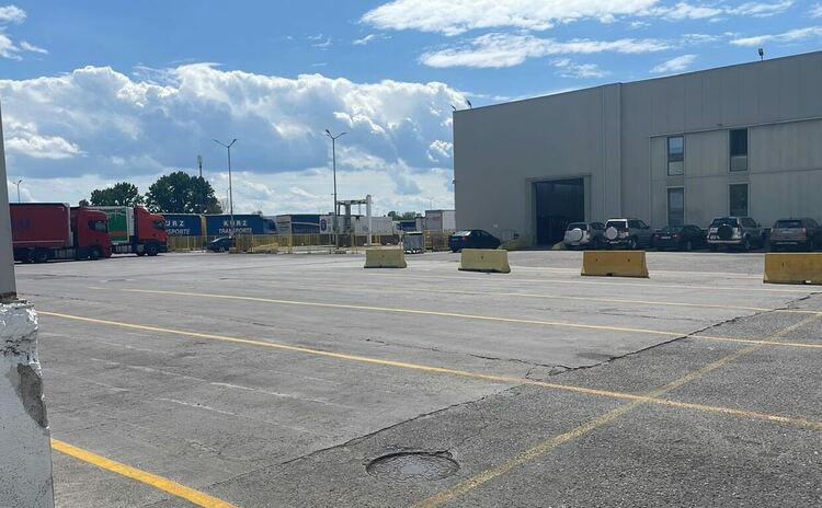 Фитосанитарният контрол спря на границата с Турция близо 1000 дървета