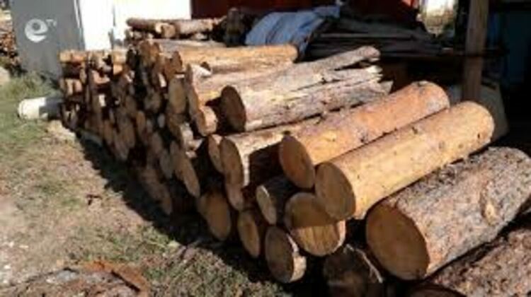 От 12-ти юни Община Смолян започва да глобява за складирани дърва по тротоари и зелени площи